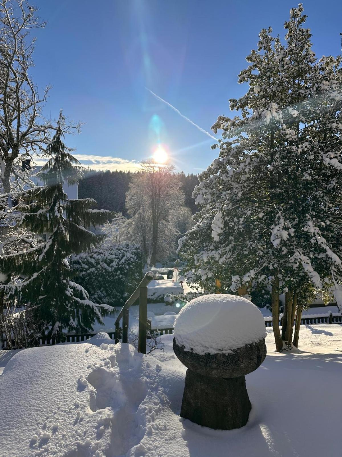 Boutique Hotel Dorer Schönwalde Εξωτερικό φωτογραφία